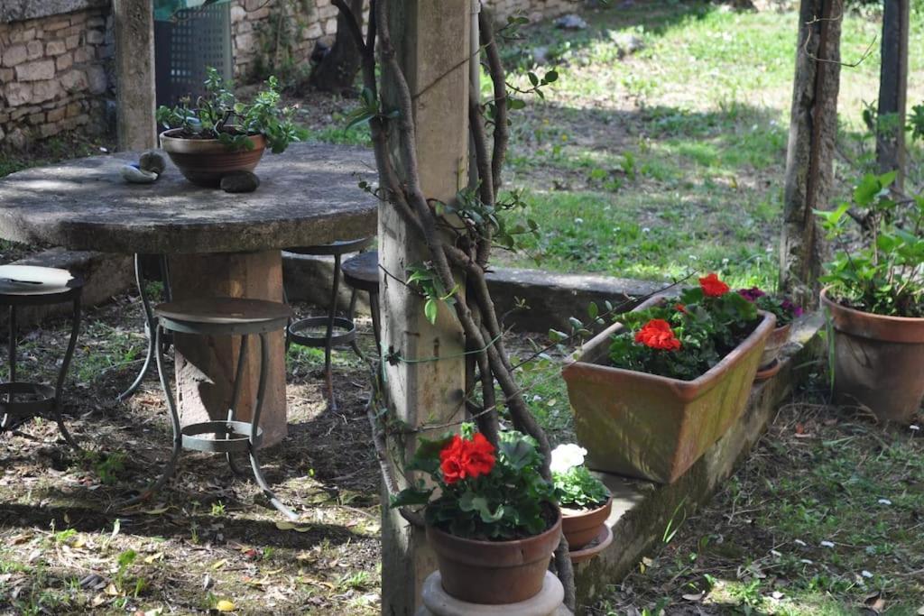 Apartamento Il Profumo Del Lauro Perugia Exterior foto